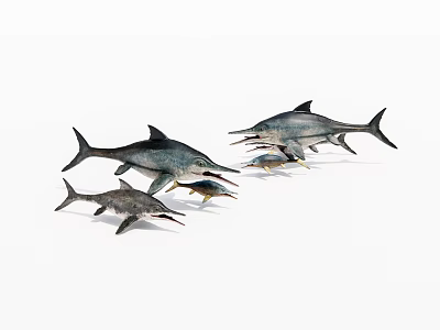 Aquatic animal fish school 3d model