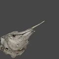 Detailed Bird Skull With Long Beak Displayed On Gray Background 3d model