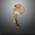 Isolated Wild Mushroom With Light Brown Stem And White Cap On Dark Background