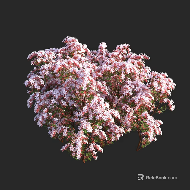 Blooming Shrub With Lush Pink And White Flowers And Red Branches 3d model 