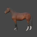 Durable High Quality Equestrian Sports Equipment For Brown Horse Riding Training