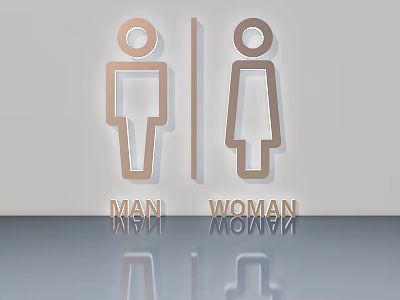 Male Female Restroom Signs With Metallic Design And Reflections 3d model