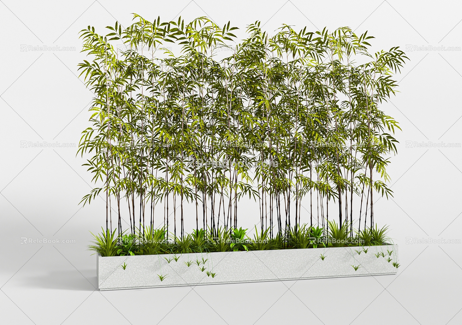 bamboo potted plant 3d model