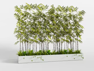 bamboo potted plant 3d model