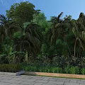 Lush Tropical Garden Landscape With Palm Trees Green Plants Shrubs And Stone Pavement