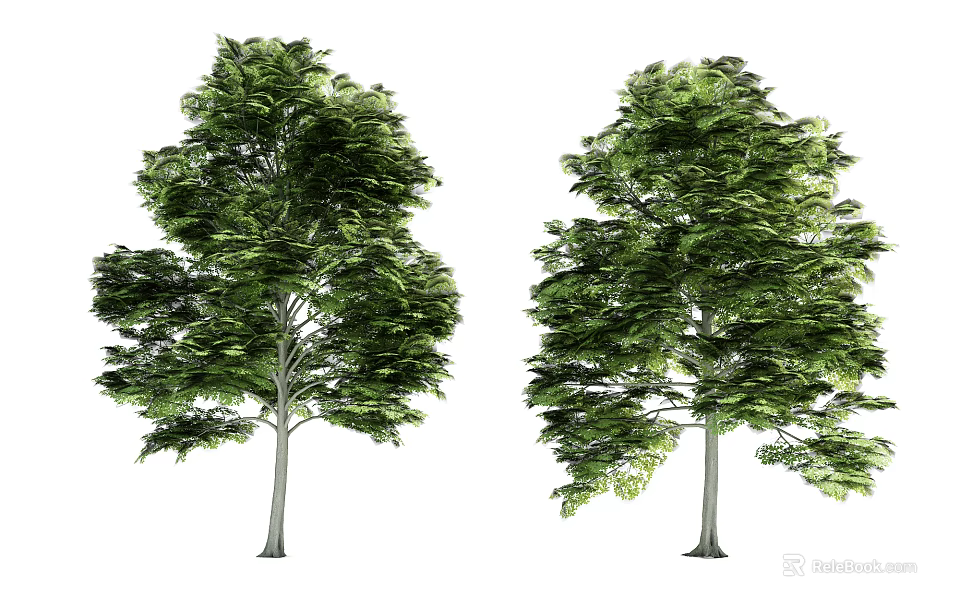 Two Lush Green Arbors With Dense Foliage And Straight Trunks In Natural Setting 3d model 