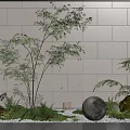 Elegant Garden Decor with Lush Green Plants Glowing Spherical Light and Pebble Ground Against Wall