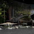 Dinosaur Exhibition Display With Various Models Forest Background And Museum Setting 3d model