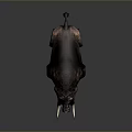 Wild Boar With Long Curved Tusks And Rough Brown Skin Standing