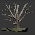 Decorative Dry Tree With Detailed Twisted Branches And Mossy Stone Base