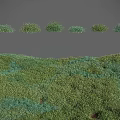 Lush Green Plants Natural Landscape Featuring Various Sizes And Dense Vegetation