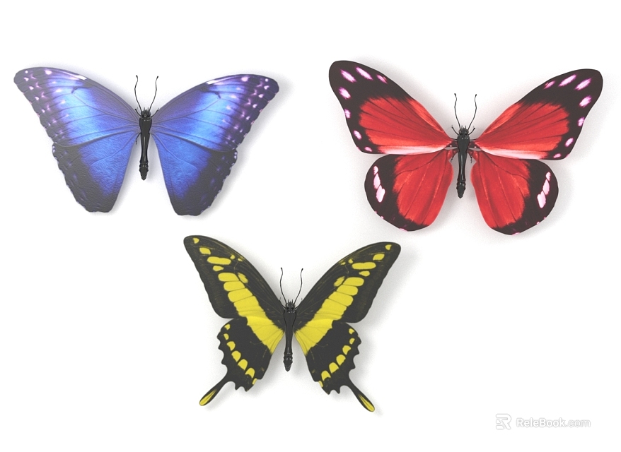 Colorful Flying Butterflies with Blue Red Yellow and Black Wings 3d model 