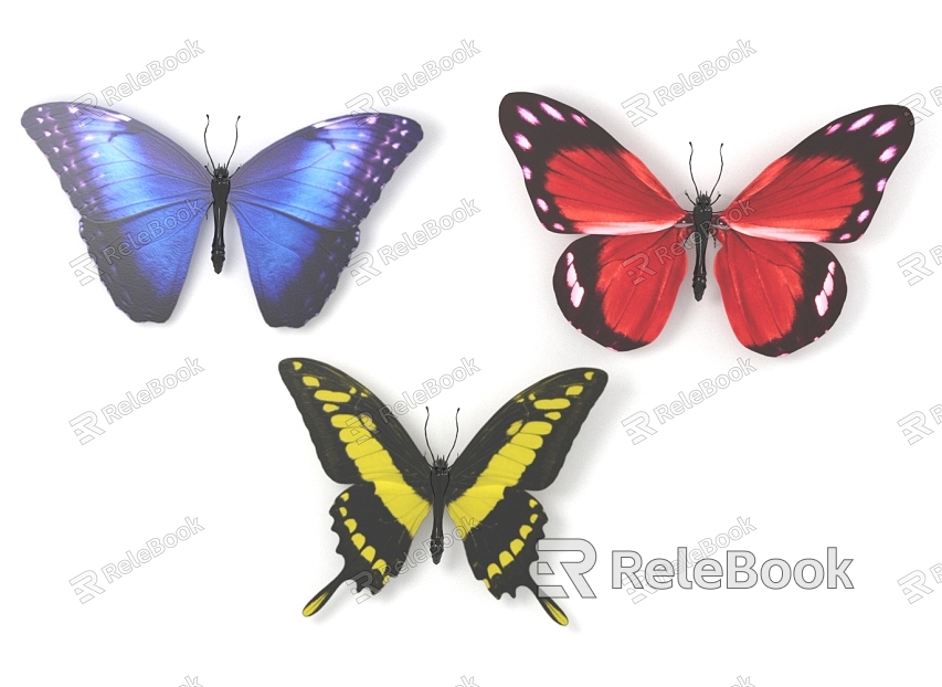 butterfly insect model