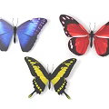 Colorful Flying Butterflies with Blue Red Yellow and Black Wings