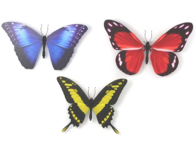 Colorful Flying Butterflies with Blue Red Yellow and Black Wings 3d model Colorful Flying Butterflies with Blue Red Yellow and Black Wings 3d model