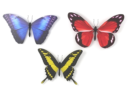 butterfly insect 3d model