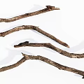 Natural Dry Wood Branches With Rustic Texture And Organic Shape 3d model