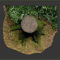 Natural Wooden Stump Covered With Green Moss And Surrounding Shrubs On Soil Base