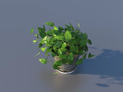 Lush Green Leaves Potted Plant With Trailing Vines In Dark Textured Pot For Decor 3d model
