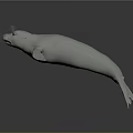 White 3D Marine Reptile Model With Streamlined Body And Flippers