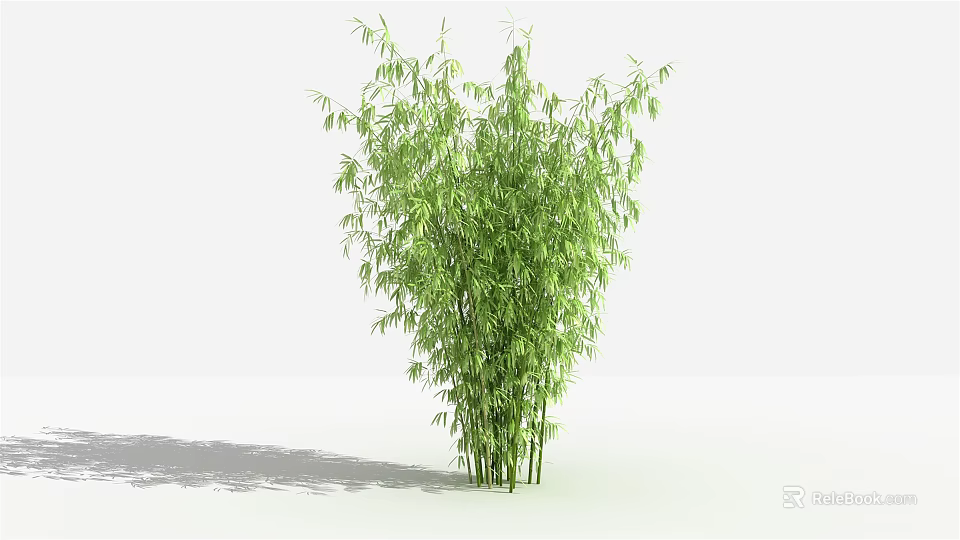 Green Bamboo Plant With Lush Green Leaves And Tall Stems In Simple Background 3d model 