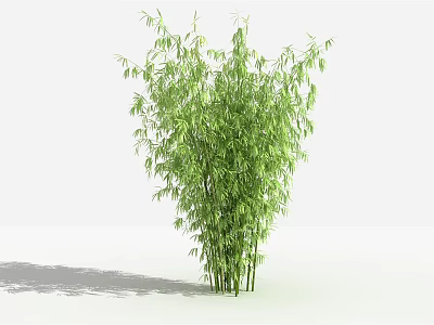 Green Bamboo Plant With Lush Green Leaves And Tall Stems In Simple Background 3d model