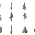 The Modern Tree 3d model