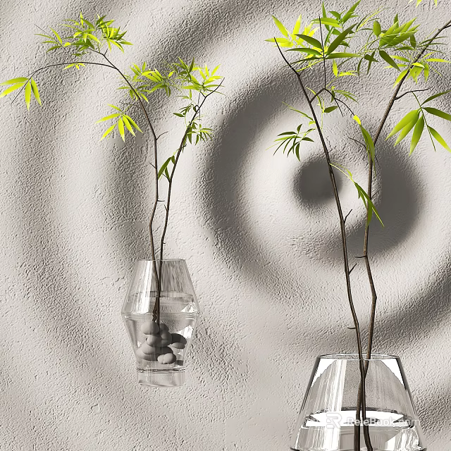 Transparent Glass Vases With Green Leaf Branches And Pebbles On Gray Wall Background 3d model 