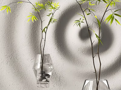 Transparent Glass Vases With Green Leaf Branches And Pebbles On Gray Wall Background 3d model