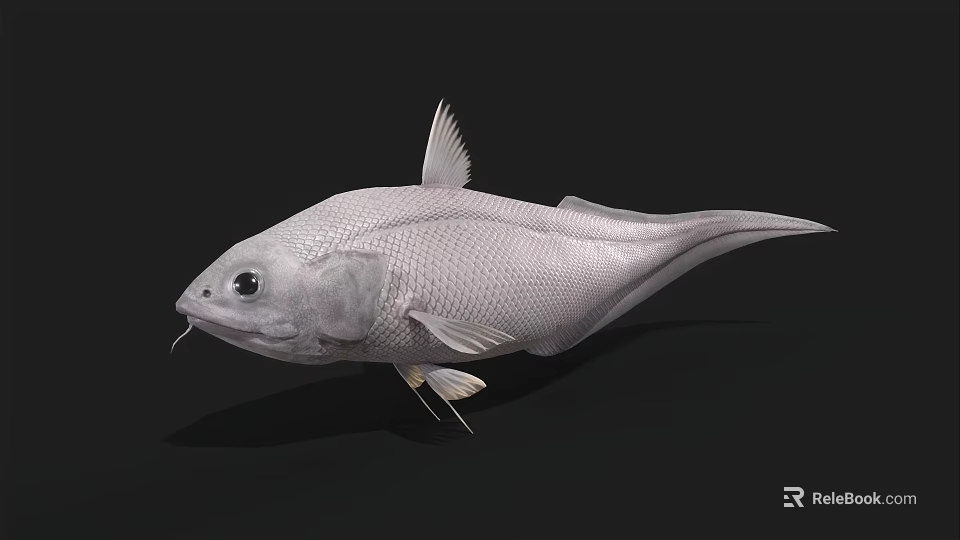 Silver Aquatic Fish With Streamlined Body Prominent Fins And Large Eyes 3d model 