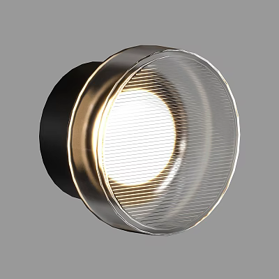 Modern Wall Light With Transparent Ribbed Shade And Black Gold Metal Finish 3d model