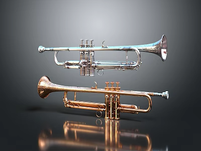 Silver and Brass Trumpets Showcased with Reflections on Dark Background 3d model