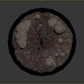 Realistic Insect Creature with Yellow Glowing Sections on Rocky Dirt Circular Base