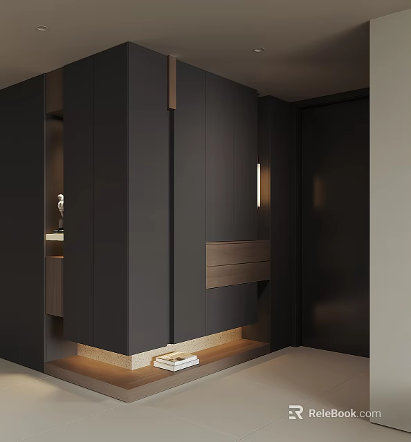 Modern Sleek Dark Shoe Cabinet With Built in Storage And Integrated Lighting 3d model 