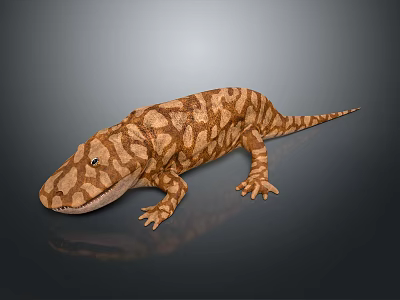 Brown Spotted Lizard on Dark Surface with Shiny Reflection and Detailed Skin 3d model