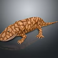 Brown Spotted Lizard on Dark Surface with Shiny Reflection and Detailed Skin