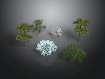 Various Types of Green and White Trees with Diverse Shapes on Grey Background 3d model
