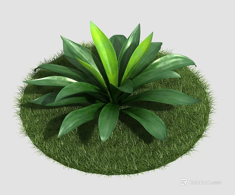 Green Plant With Broad Lush Leaves Growing On Fresh Green Grass 3d model 