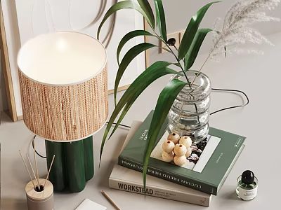 Decorative Ornament Set With Woven Shade Lamp Green Plant And Glass Vase On Books 3d model