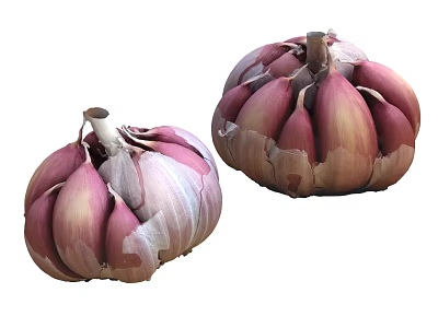 Fresh Purple Red Skin Garlic Bulbs With Plump Cloves And Healthy Look 3d model Fresh Purple Red Skin Garlic Bulbs With Plump Cloves And Healthy Look 3d model