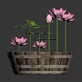 Frog Sitting On Green Lotus Leaf With Pink Flowers In Wooden Bucket