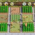 Rural Landscape Featuring Organized Vegetable Garden Plots Various Crops And Wooden Fence