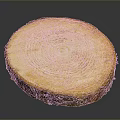 Golden Tree Ring Patterned Cake Slice With Natural Wooden Texture And Brown Edges 3d model