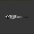 Mythical Sea Creature With Silver Stripes Red Tail And Curved Body Structure 3d model