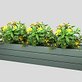 Lush Green Leaves And Vibrant Yellow Flowers In Rectangular Green Planter