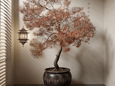 New Chinese Bonsai Plant Tree model