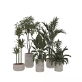Various Potted Plants With Diverse Leaf Types And Ceramic Pots For Home Decor