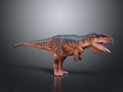 3D Tyrannosaurus Dinosaur Model With Spotted Skin Red Head Open Mouth Standing On Reflective Floor 3d model