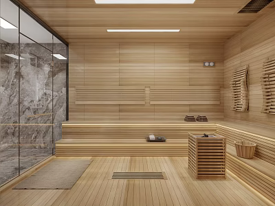 Modern Shower Sauna Interior Design With Wooden Walls Benches And Glass Partition 3d model