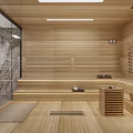 Modern Shower Sauna Interior Design With Wooden Walls Benches And Glass Partition